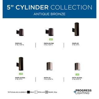 Progress Lighting Cylinder Collection 5