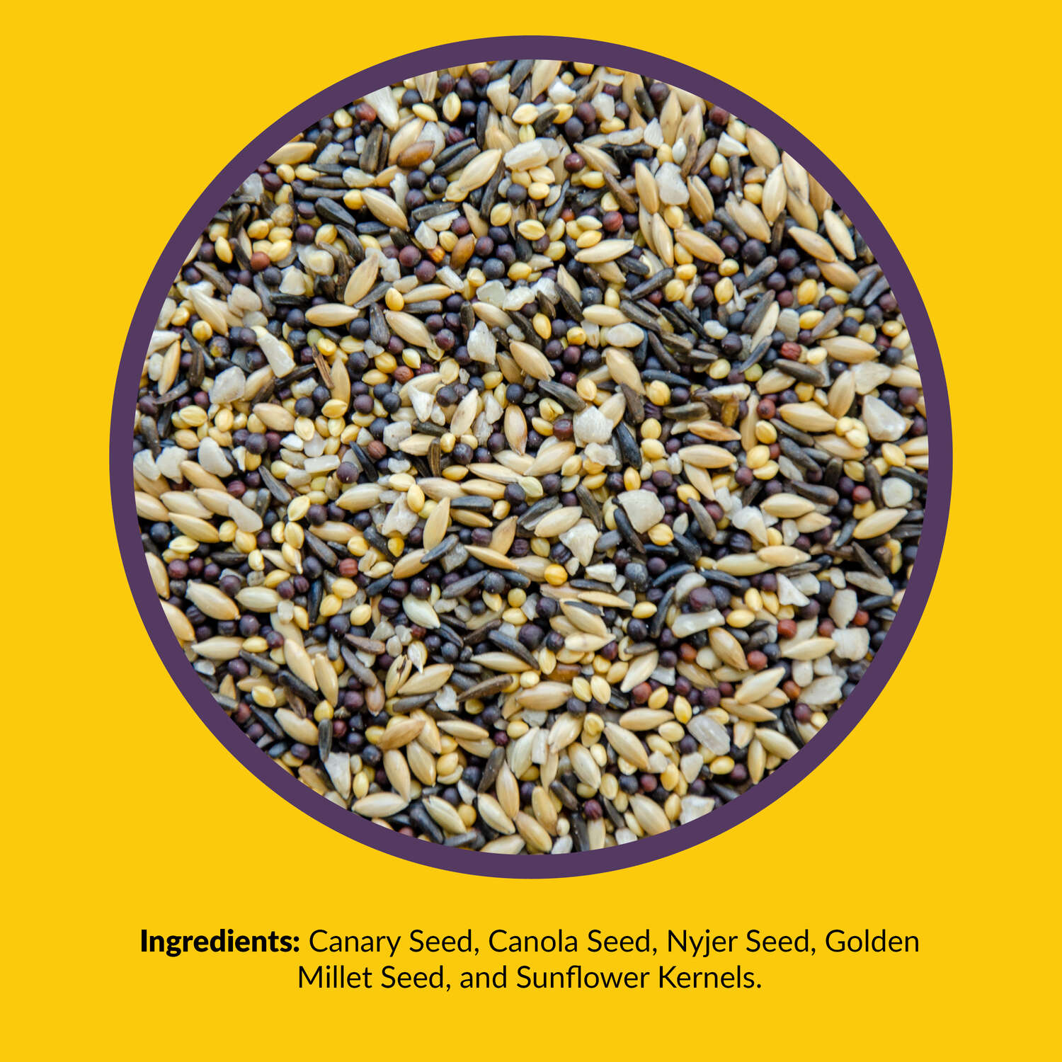 Lyric Finch Canary Grass Seed Wild Bird Food 5 lb