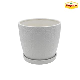 Vigoro 10 in. Chrysanthemum Medium White Textured Ceramic Pot (10 in. D x 9.3 in. H) with Attached Saucer CT1499-MTWH