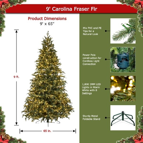 Forever Tree 9' Carolina Fraser Fir (8 Functions)