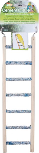 Bird Life Small Bird Ladder， Assorted Colors