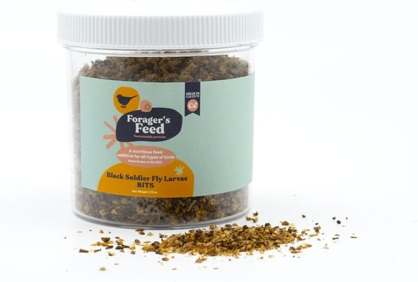 Forager's Feed BSFL Dried Crumbles Bird Treats