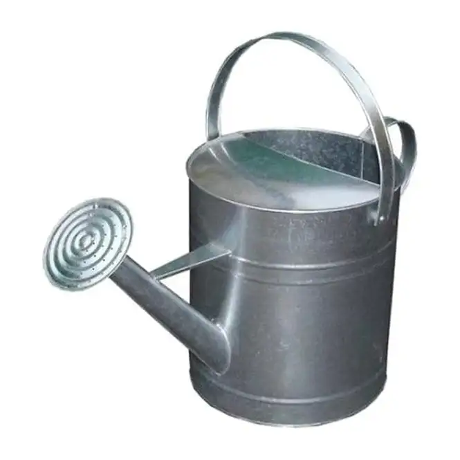 Factory Rate Customized Best Quality Metal Galvanized Water Cans Garden For Farm And Garden Planter Cane Modern Style