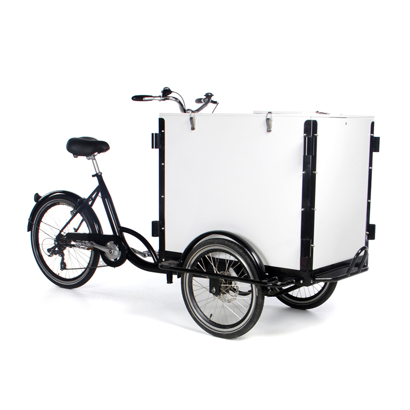 Popular Adult Cargo Bike 3 Wheel Electric Bicycle Cycling for Family Carrying Kids Children Shopping Cart