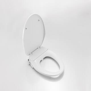 ROSWELL Taranto Quick-Release Hinges Elongated Toilet Seat in White 801020-TS-WH