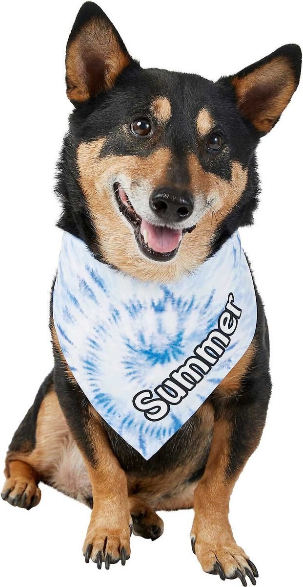 Frisco Tiedye Personalized Dog and Cat Bandana