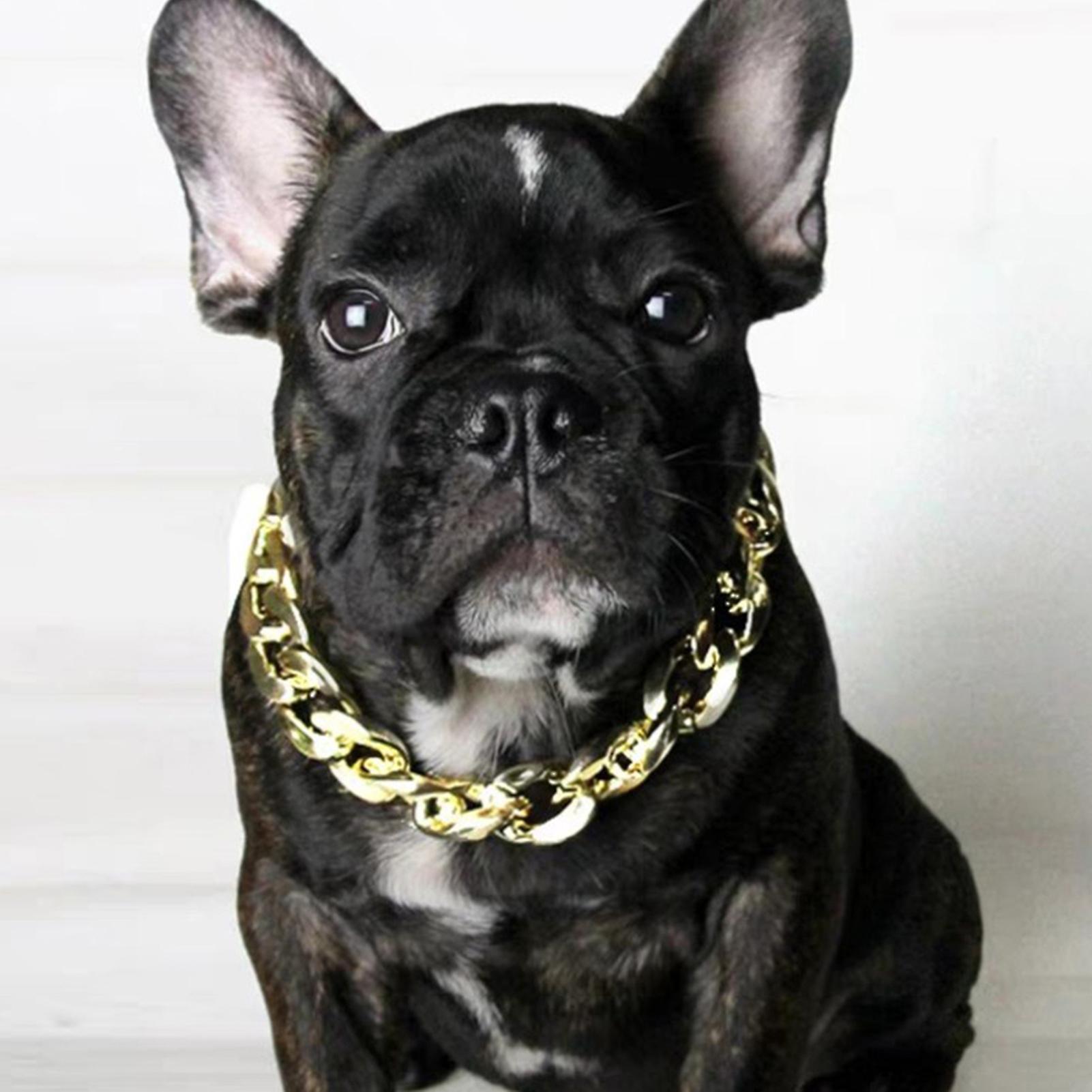 French Fighting Dog Bully Gold Chain Small And Medium-sized Dog Collar Pet Necklace Jewelry Accessories Gold Coffee