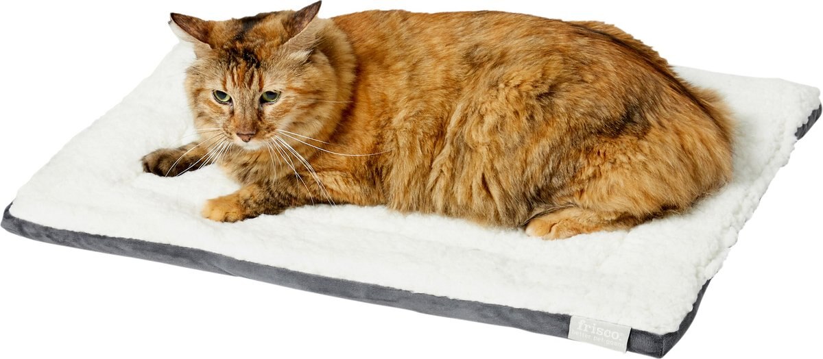 Frisco Self Warming Pillow Rectangular Pet Bed