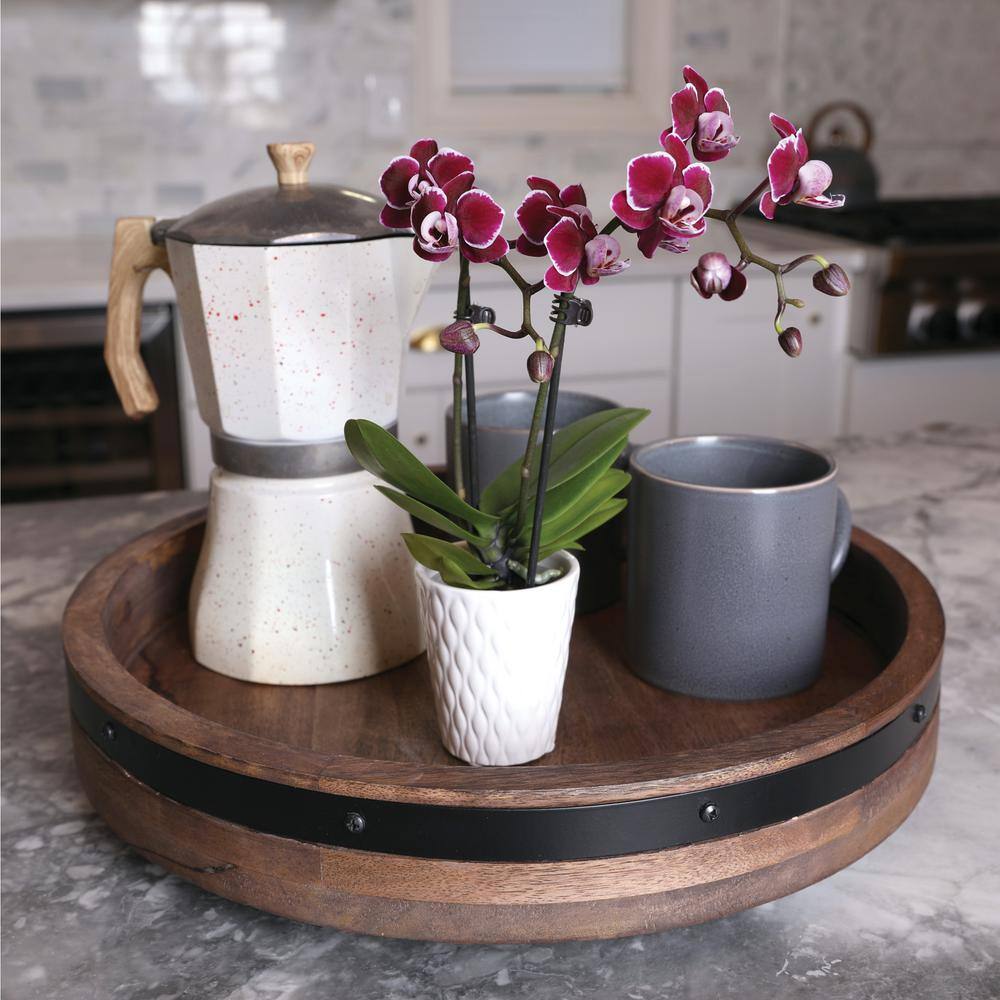 Just Add Ice Orchid (Phalaenopsis) Mini Dark Purple Plant ar 2-12 in. White Ceramic Pottery J5002