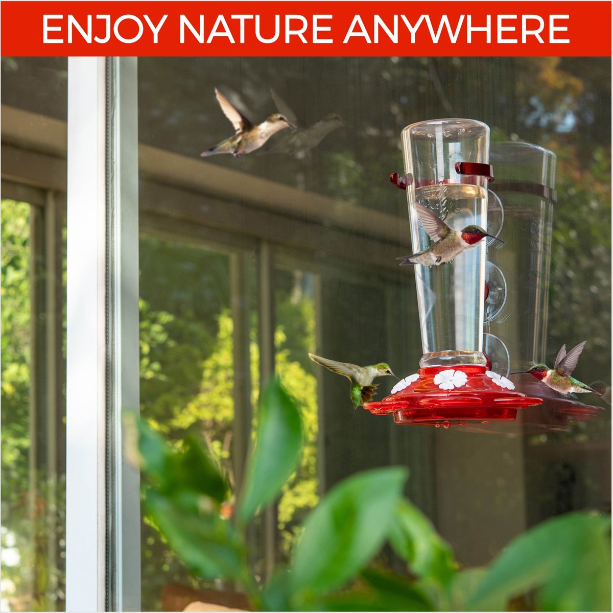 Nature Anywhere Window Hummingbird for Outdoors Bird Feeder