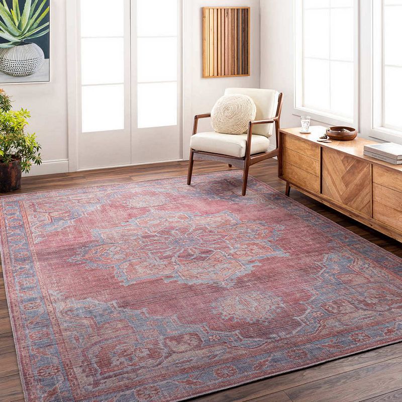 Middlebury Traditional Washable Area Rug