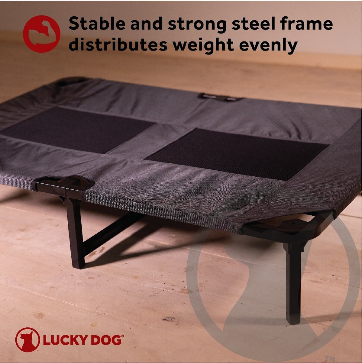 Lucky Dog Comfort Cot Elevated Dog Bed w/ Removable Cover