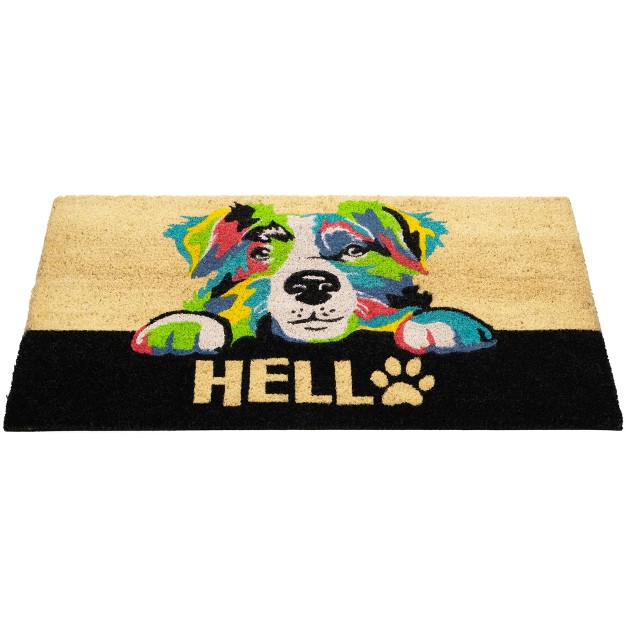 Multicolor Dog Outdoor Coir Doormat 18 quot X