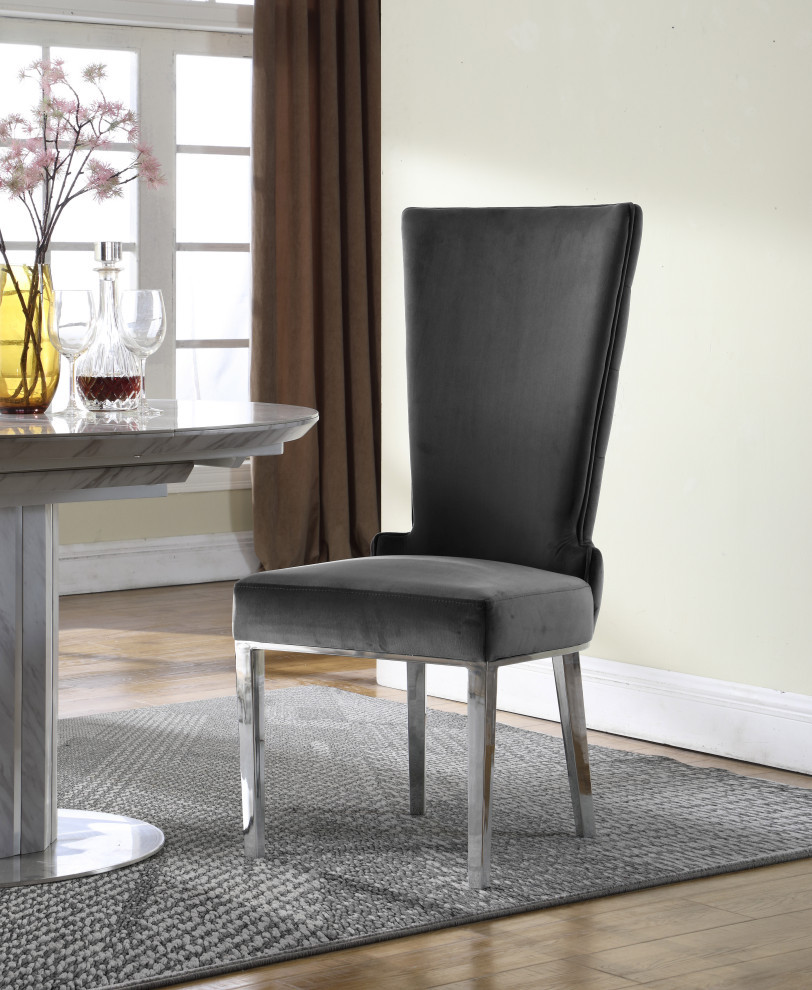 Serafina Velvet Dining Chair  Set of 2   Contemporary   Dining Chairs   by Meridian Furniture  Houzz