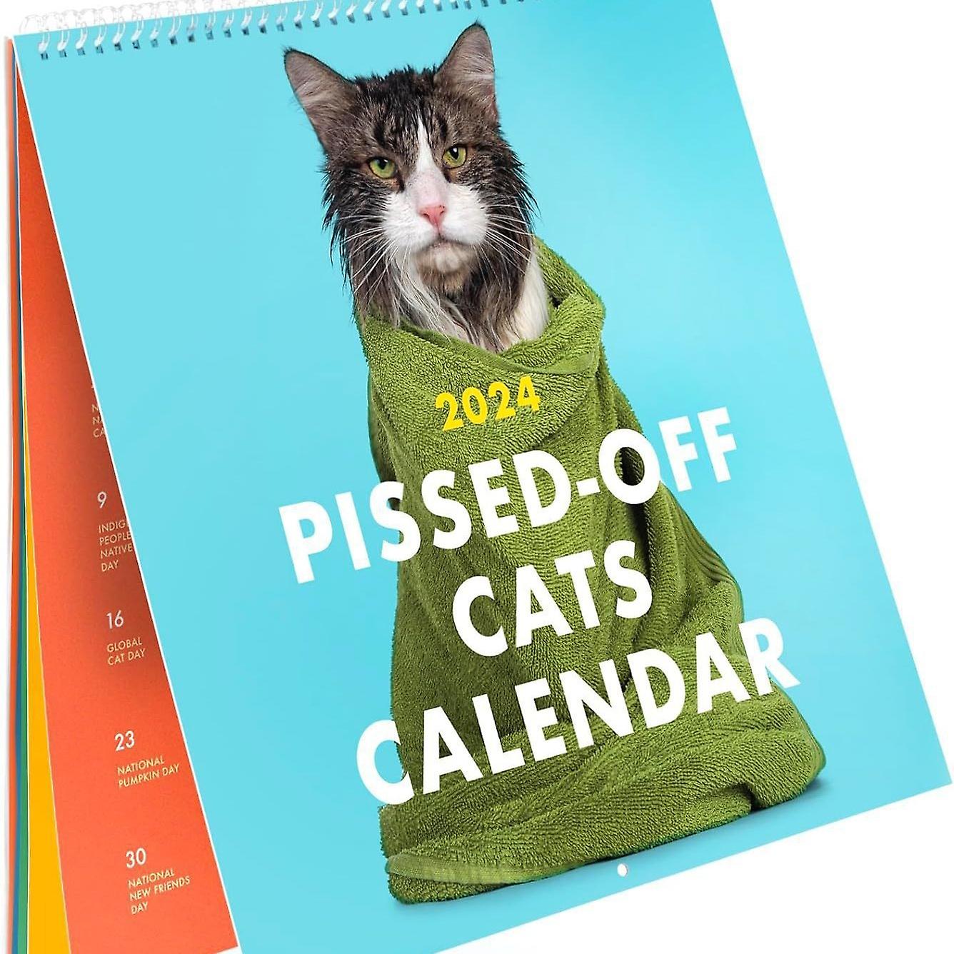 2023 Angry Cat Calendar Funny Cat Wall Calendar-9.5