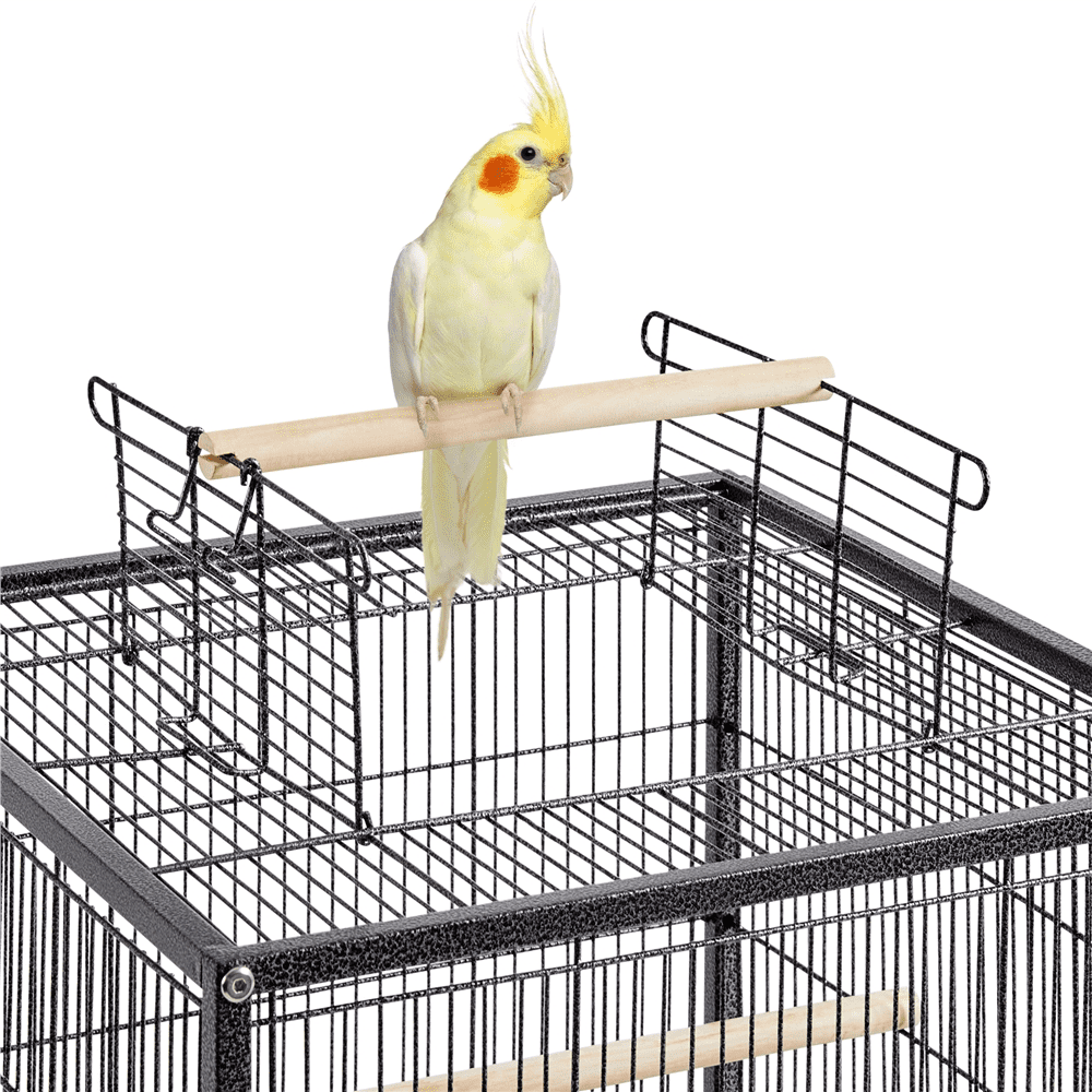 Easyfashion 40-Inch Open Top Parakeet Cage with Rolling Stand， Black