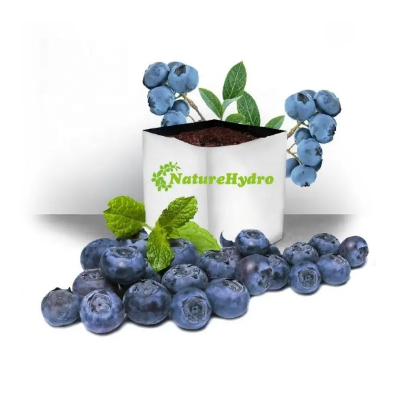 garden supplies grow bags hydroponic blueberry planter bags