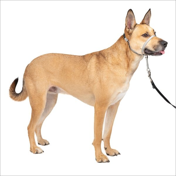 PetSafe Gentle Leader Padded No Pull Dog Headcollar