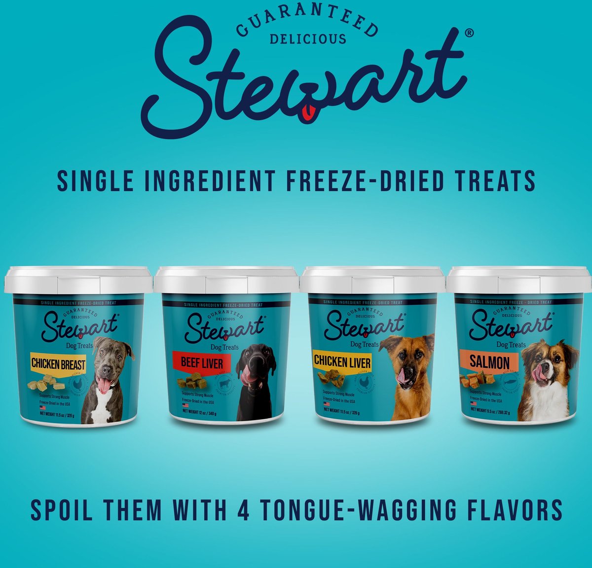 Stewart Chicken Breast Freeze-Dried Dog Treats