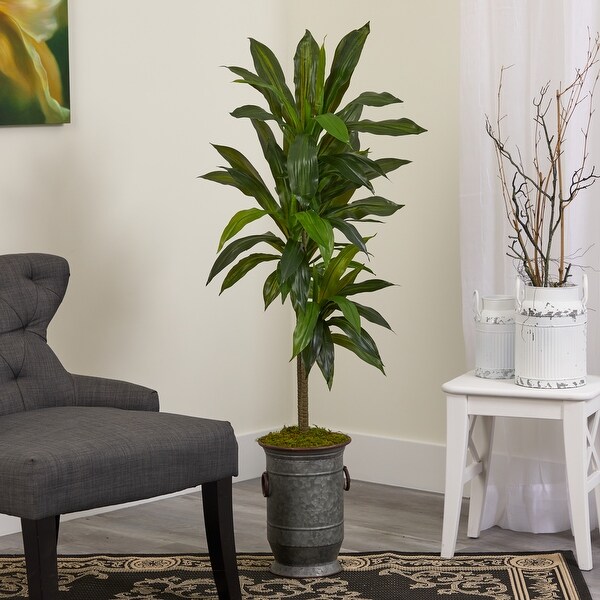 4' Dracaena Artificial Plant in Vintage Metal Planter (Real Touch)