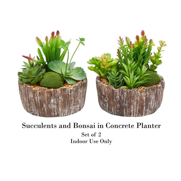 Pure Garden 2Piece Faux Succulent with Concrete Planter