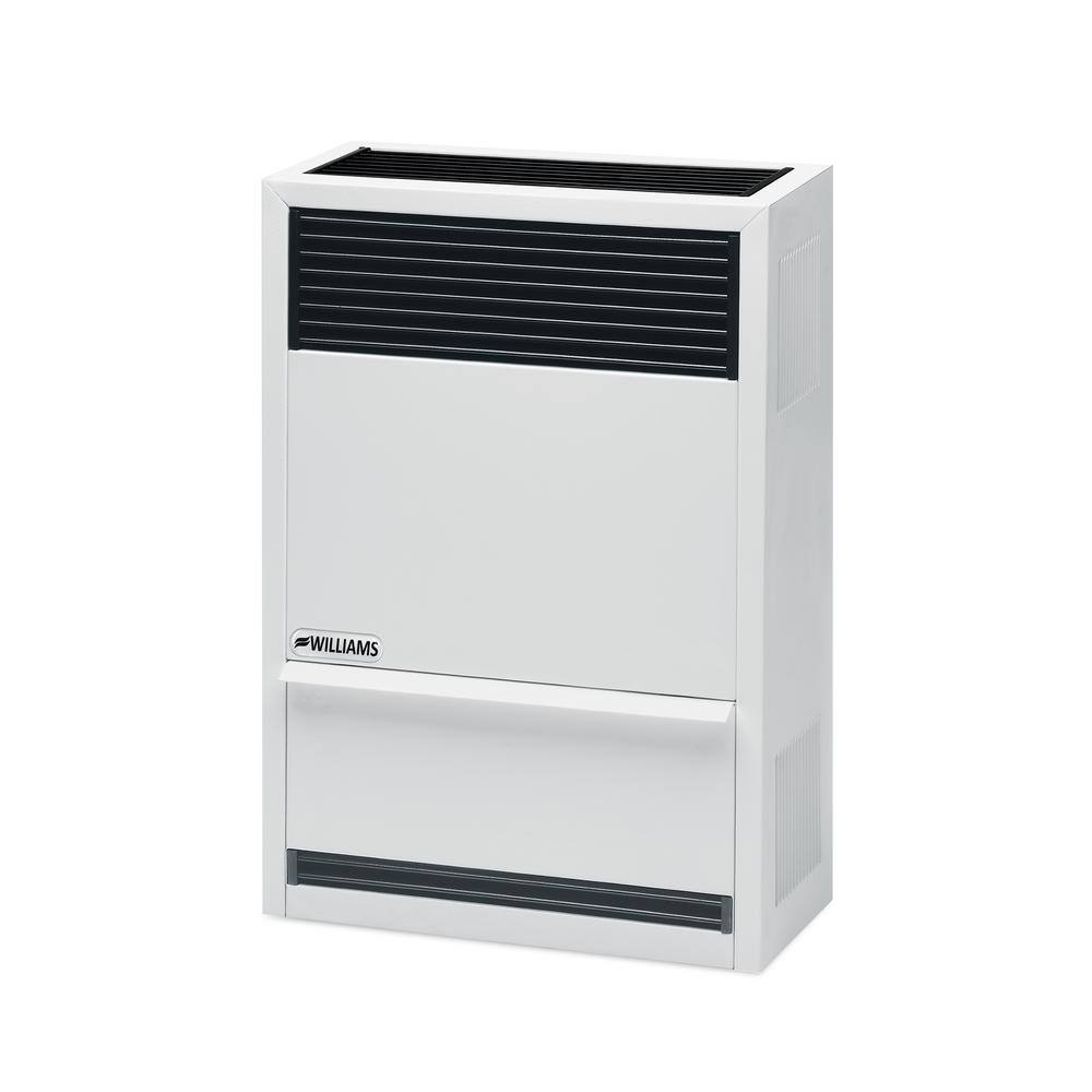 Williams 14000 BTU Direct Vent Gravity Natural Gas Heater with High Altitude Orifices 14H3822