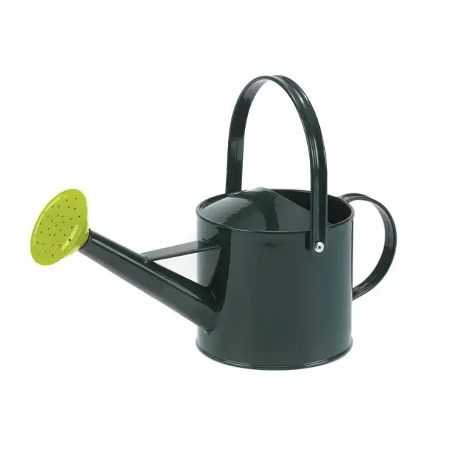 Indian supplies Large Capacity Galvanized Metal Water can powder coated metal watering can for Farm and Garden planter