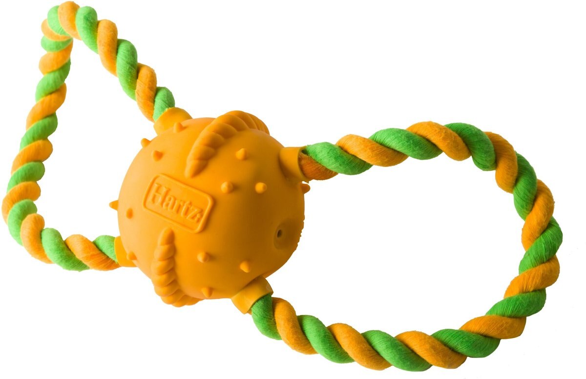 Hartz Dura Play Tug of Fun Double Ring Squeaky Latex Dog Toy