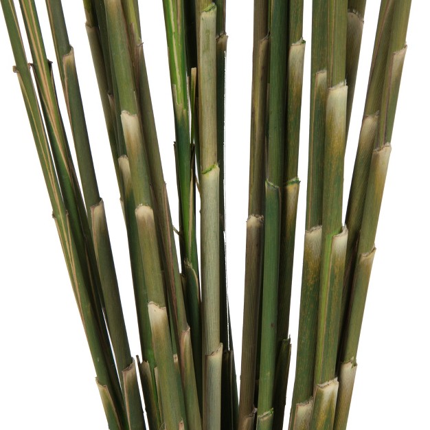 Plume Reed Bundle Preserved