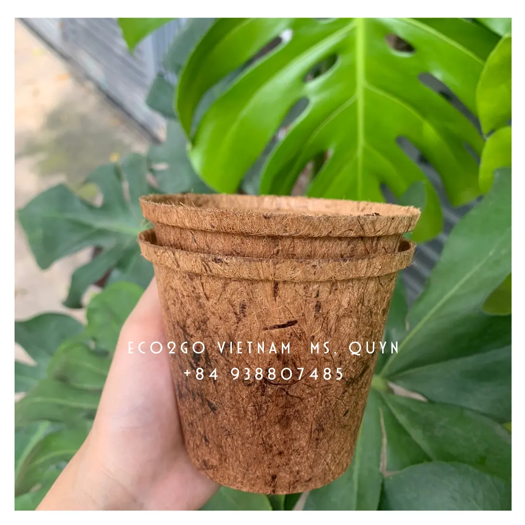 Solution Garden Supplies Coconut Coir Fiber Pot/ Coconut Plant Pot High Quality And Free Sample From Eco2go Vietnam