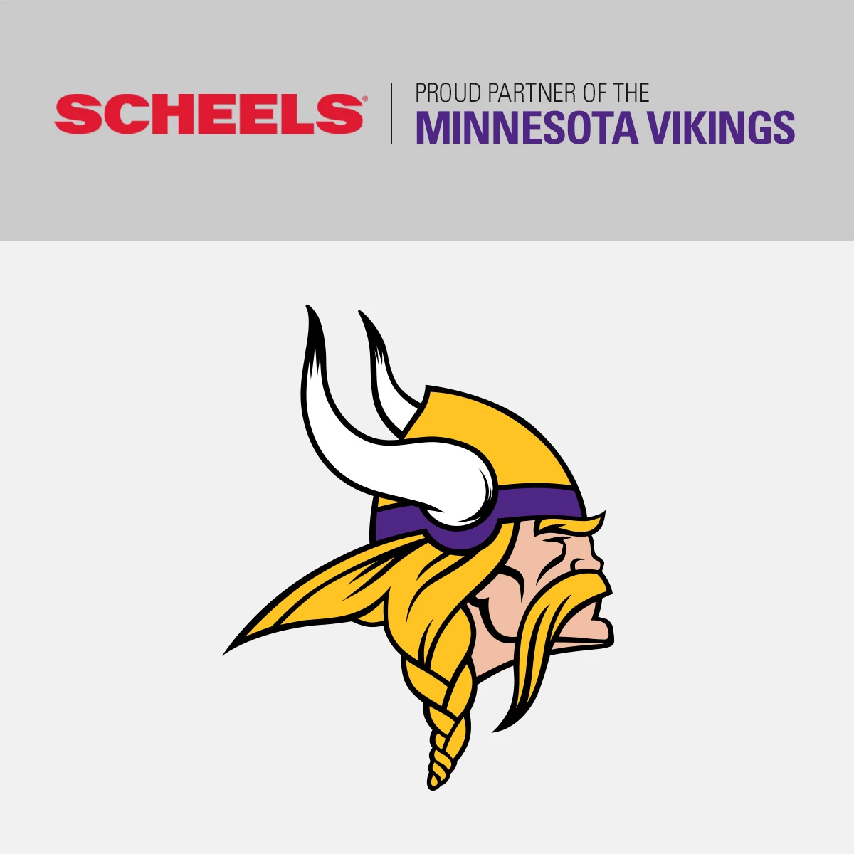 Wild Sports Minnesota Vikings Tailgate Toss