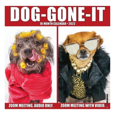 Willow Creek Press 2023 Dog Gone It Calendar