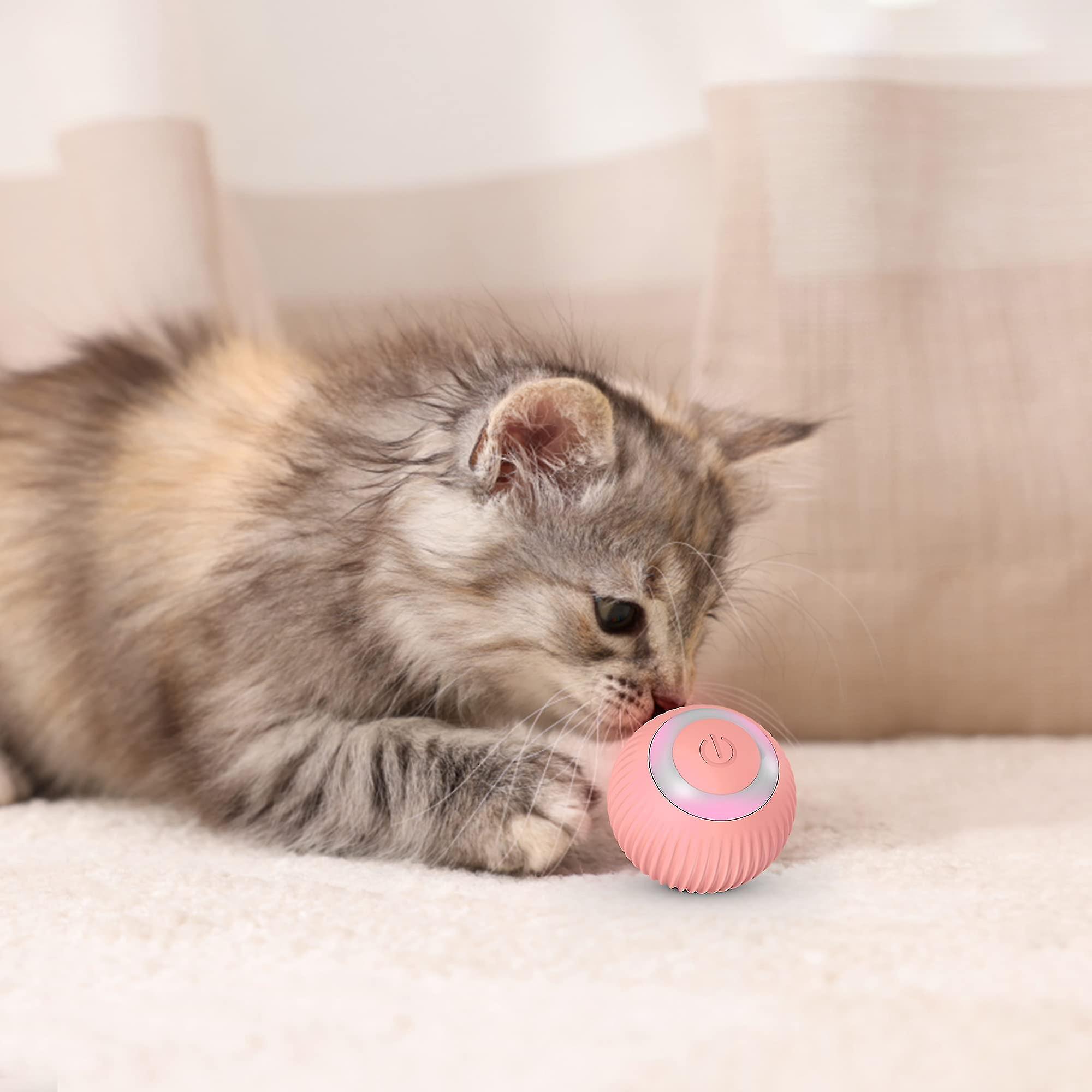 Cat Ball With Electric Led Two Cat Toy Interactive Cat Toy 360 De -rotating Ball Recharable Interactive Ball