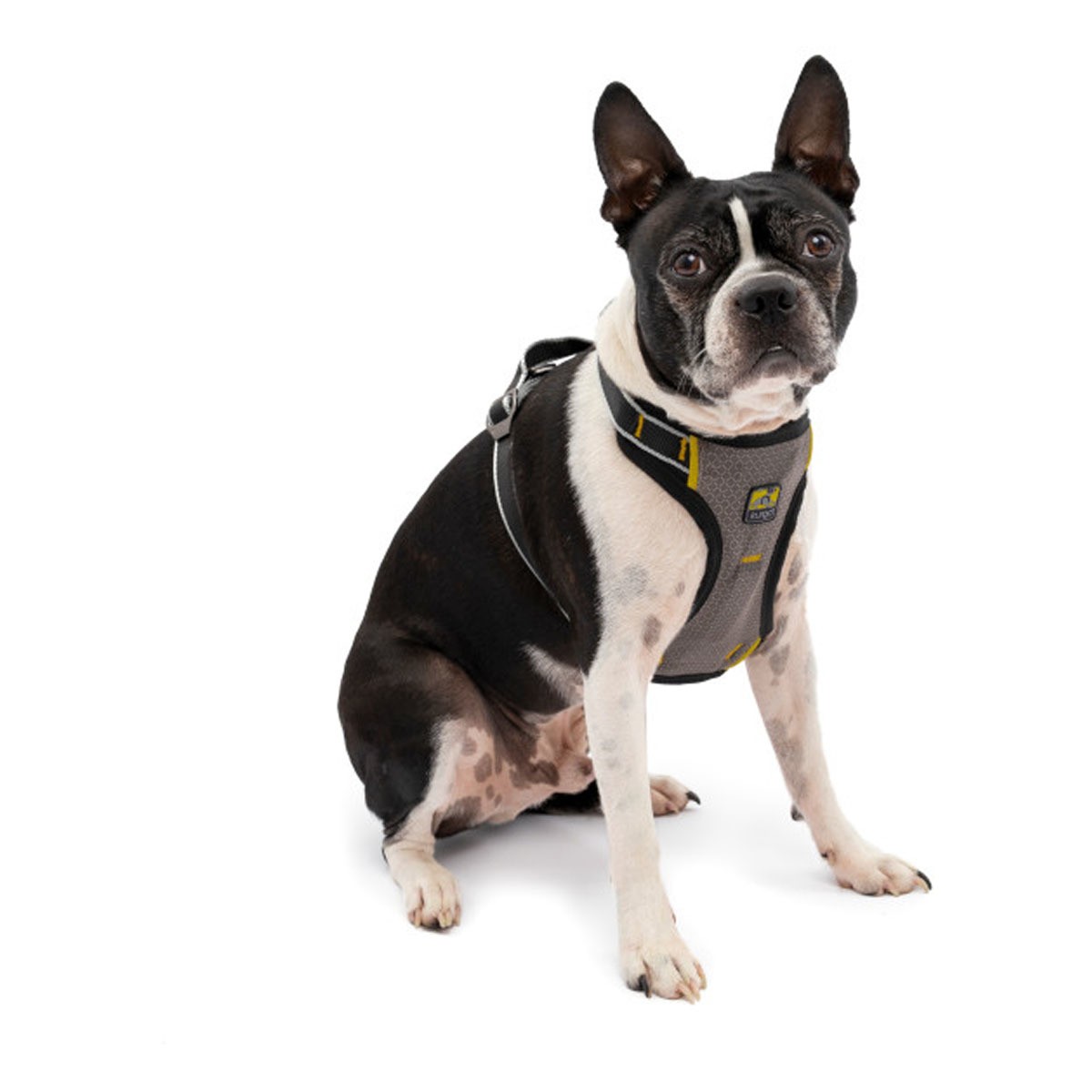 Kurgo Impact Dog Harness