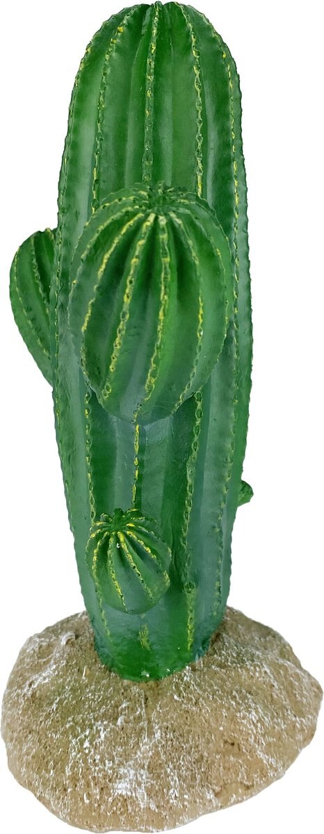 Komodo Cactus Saguaro Reptile Ornament， Green