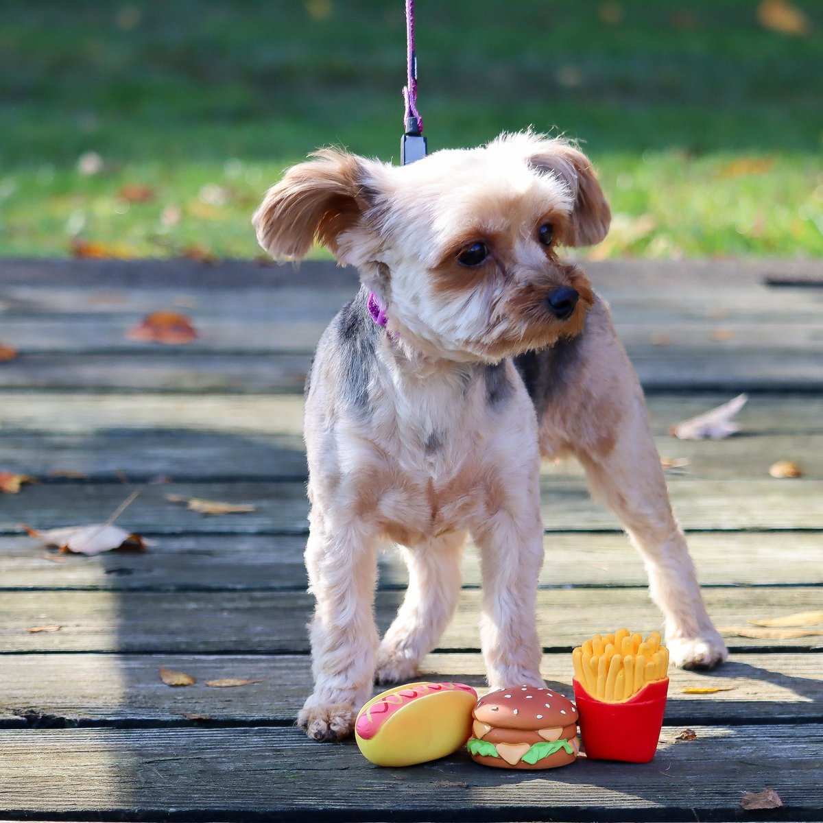 Li'l Pals Hamburger， Fries， and Hot Dog Squeaky Dog Toy Set， 3 count