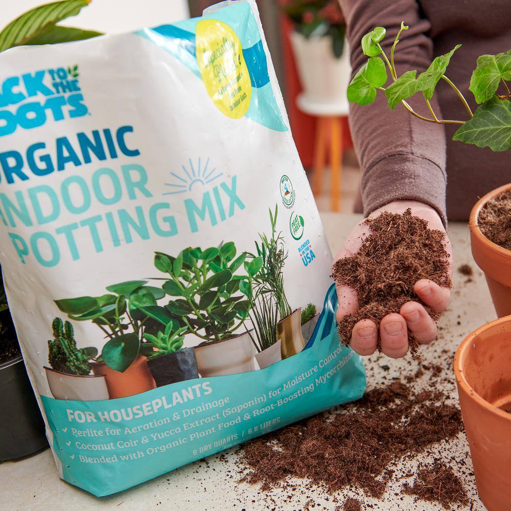 Back to the Roots 6 Quart Organic Indoor Potting Mix (8-Pack) 47017