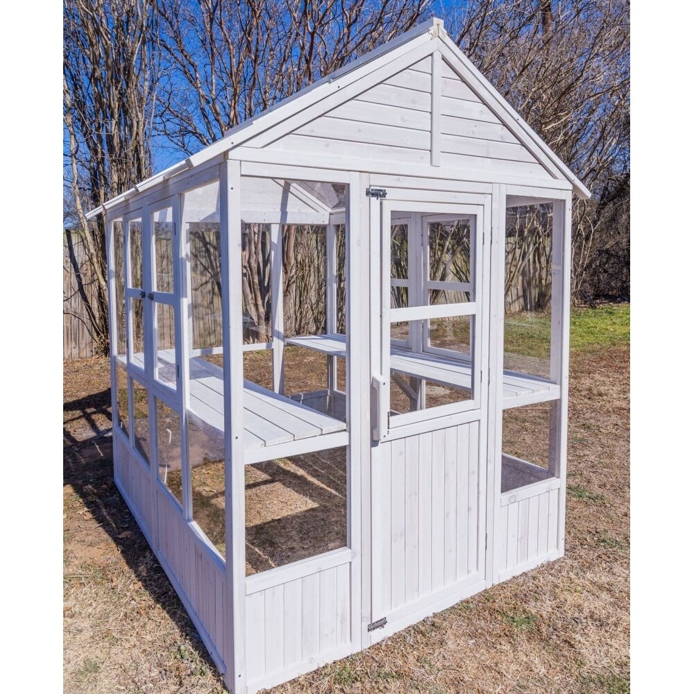 Zylina Hobby Greenhouse   72 x 72 x 84