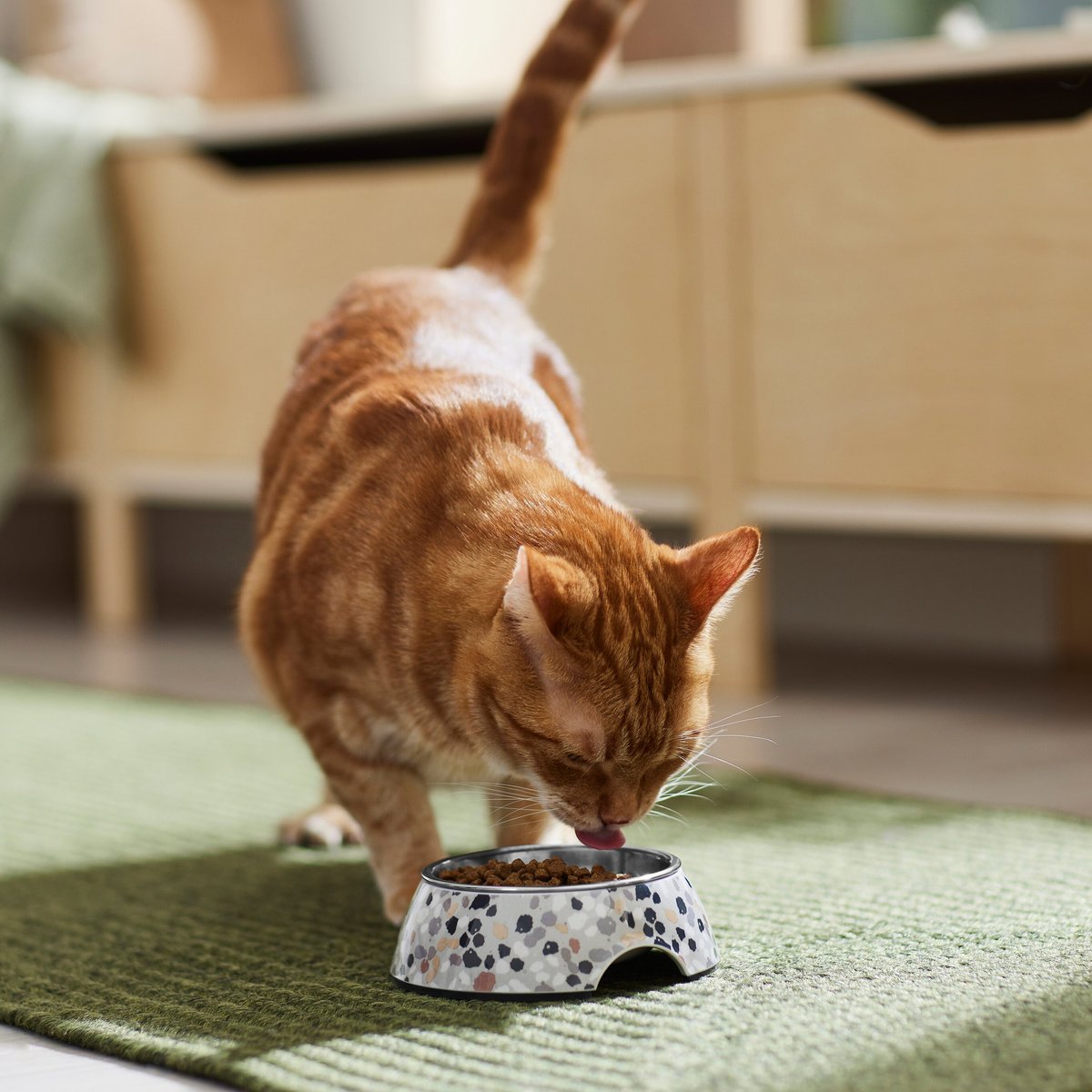 Frisco Terrazzo Design Stainless Steel Dog and Cat Bowl