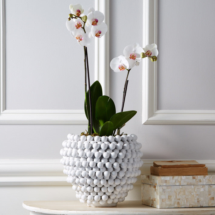 Pompon Vase/Planter