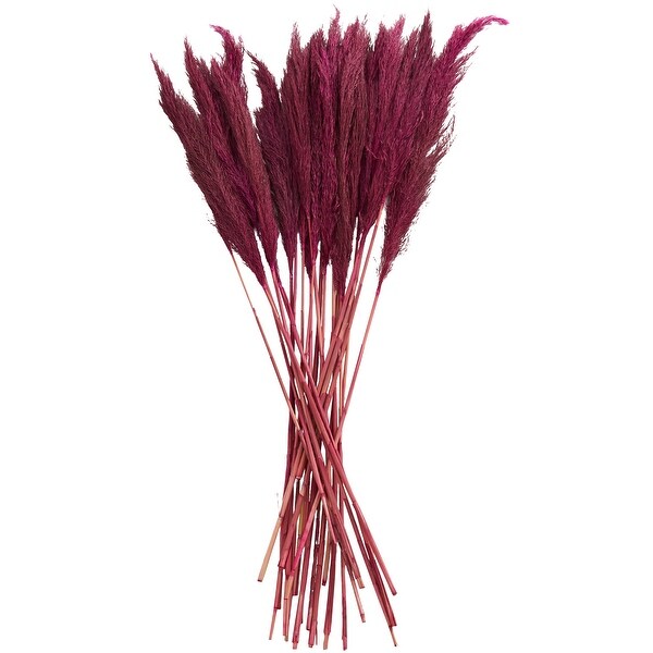 Pink Dried Plant Pampas Home Decor Natural Foliage with Long Stems