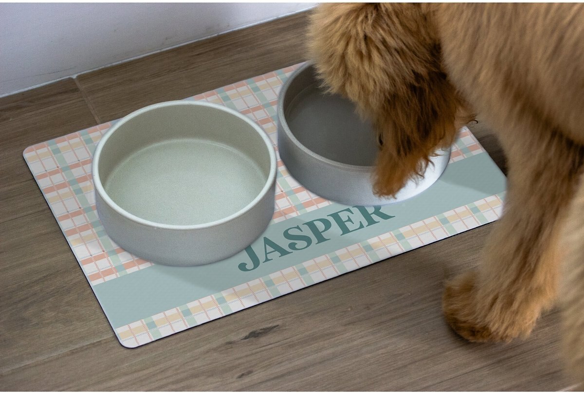 904 Custom Personalized Summer Plaid Dog and Cat Placemat