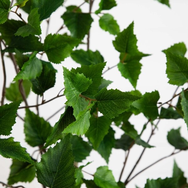 6' Artificial Birch Tree with Real Touch Leaves