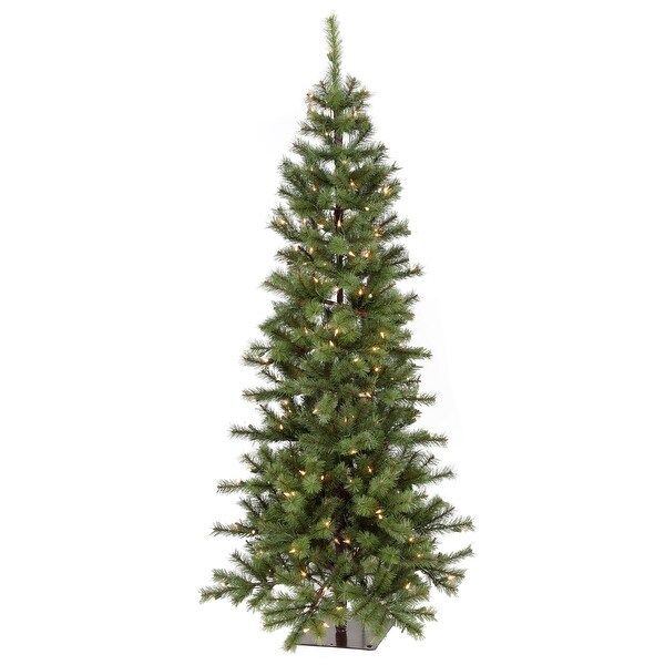 5' LED Asheville Alpine Tree，Clear Lights