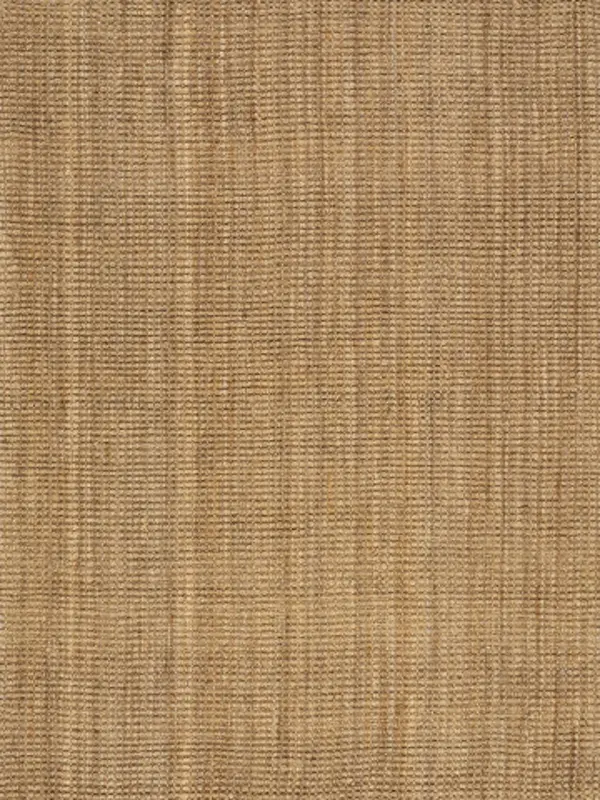 Naturals 3 x 5 Beige Area Rug