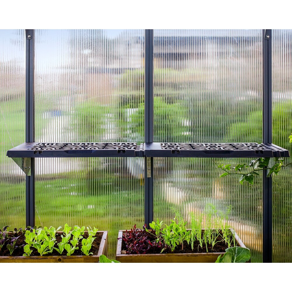 Canopia Signature 26 in. W x 10.2 in. D x 6.5 in. H Plastic Shelf Kit for Greenhouse   12 Units   26 in. x 10.2 in.