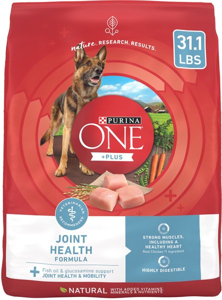 Purina ONE +Plus Adult Joint Health Formula Dry Dog Food