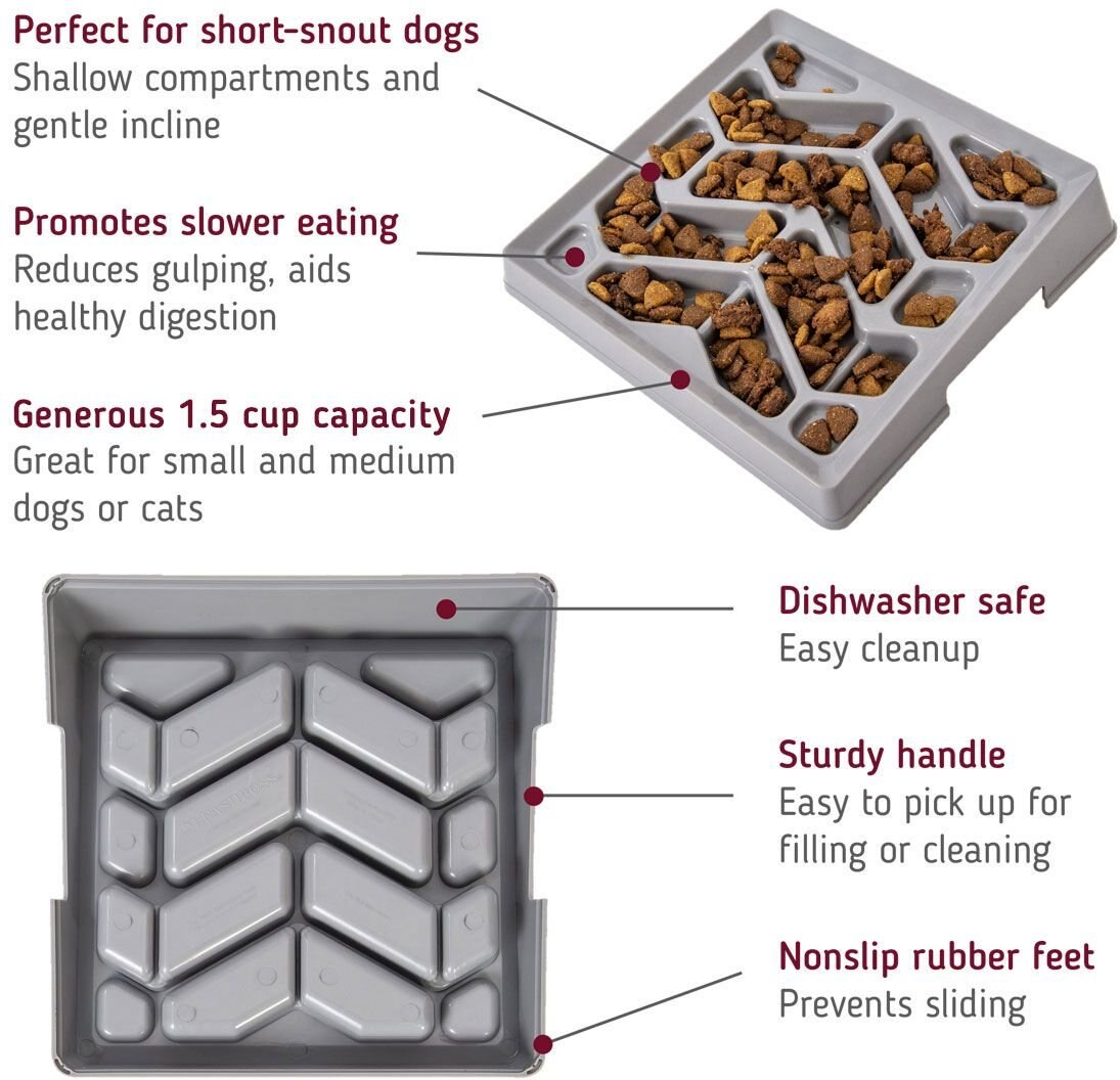 Leashboss Flat Face Slow Feeder Dog Bowl， Small/Medium