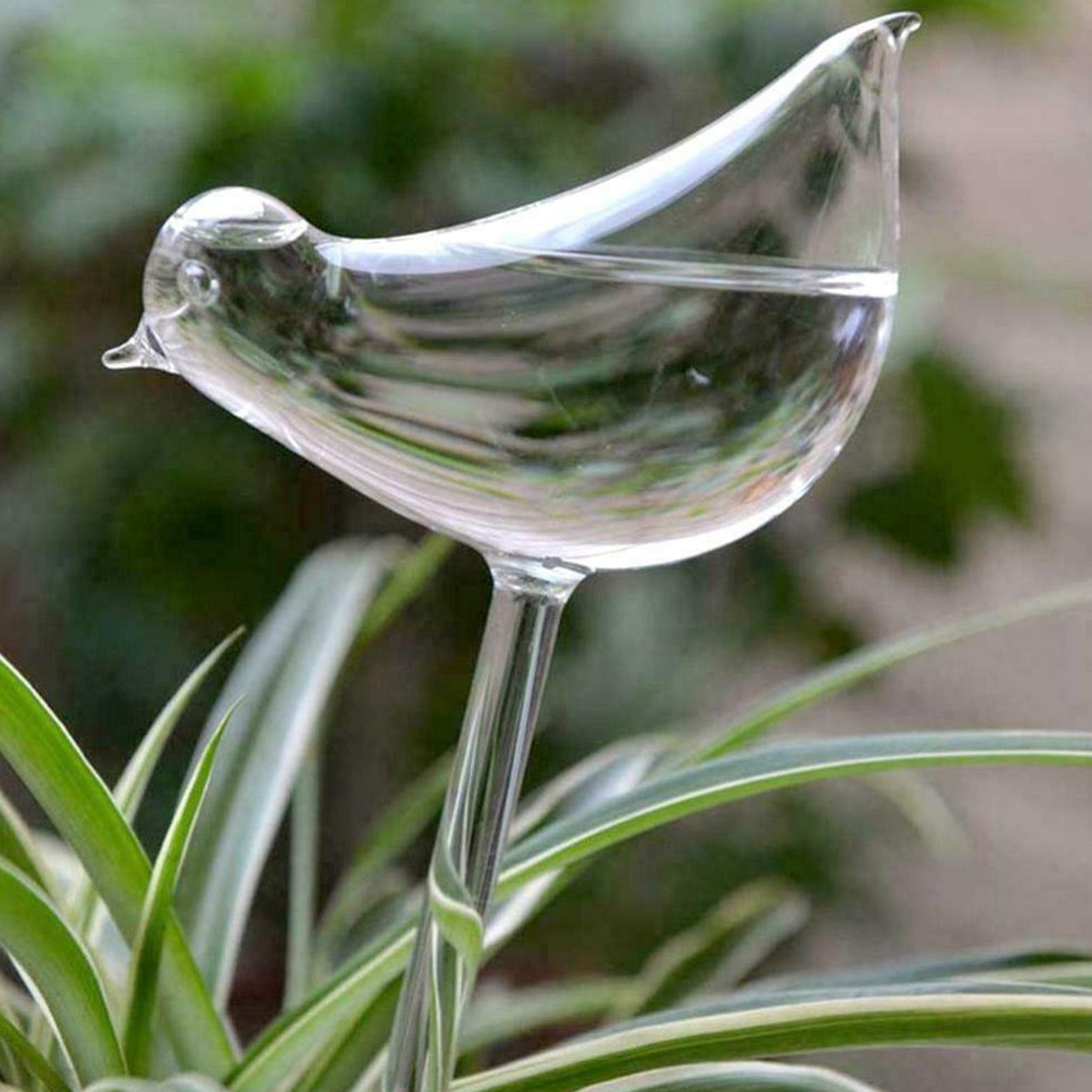 DraggmePartty Houseplant Automatic Self Watering Glass Bird Watering Cans Flowers Plant Decorative Clear Glass Watering Device