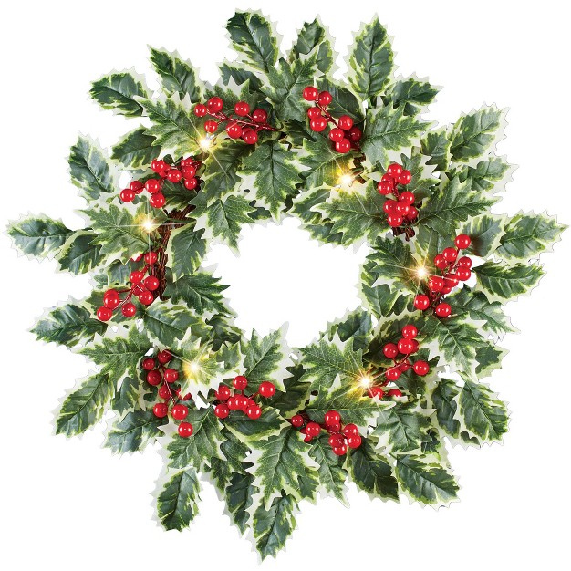 Collections Etc Led Lighted Holly Festive Hanging Door Wreath